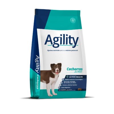 Agility Perro Cachorro All Breed