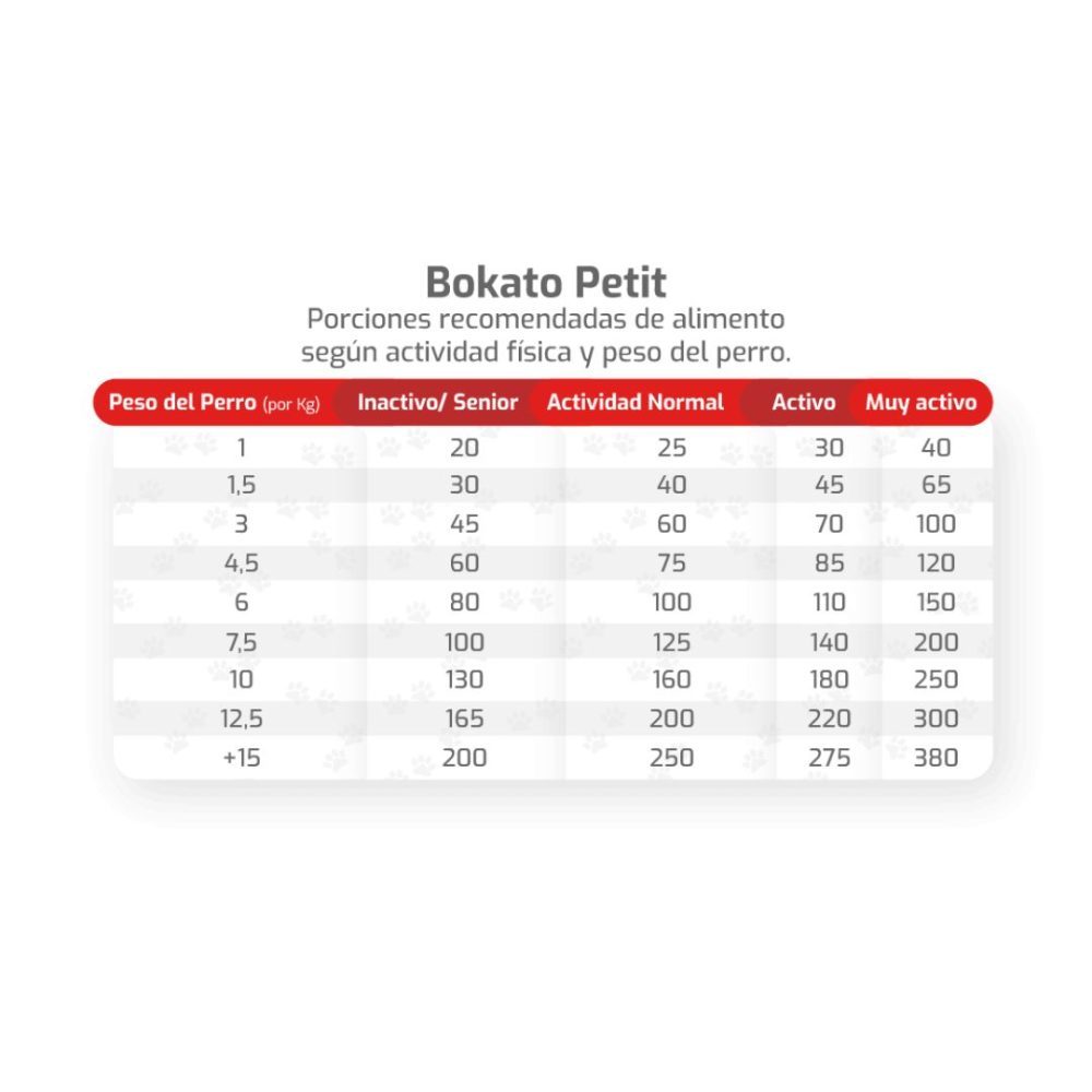Bokato Petit Raza Pequeña - Imagen 3