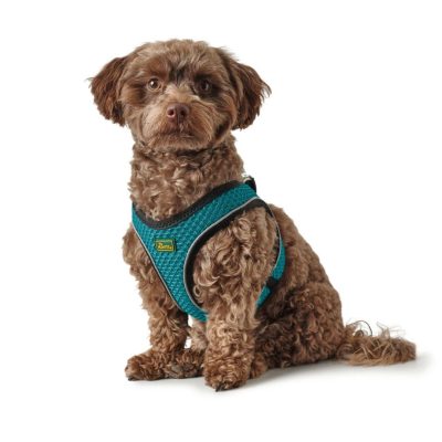 Arnés Hunter de Hilos para Perros – Hunter Hilo Confort