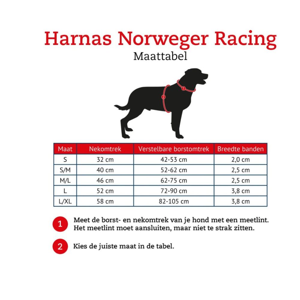 Arnés Hunter Noruego Racing - Entrenamiento y Paseo para Perros - Imagen 3