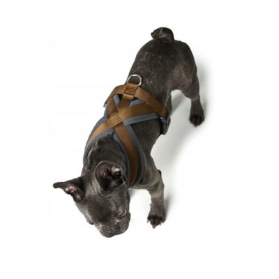 Arnés Hunter London Confort | Paseo seguro y confortable